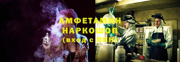 индика Беломорск