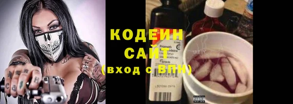 индика Беломорск