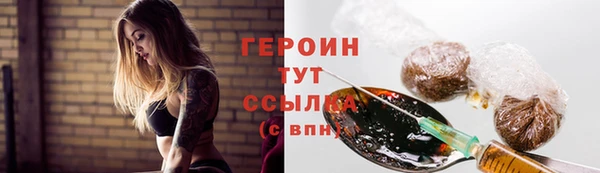 индика Беломорск