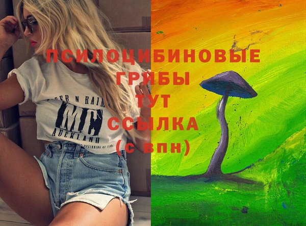 марки lsd Белокуриха