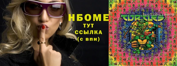 индика Беломорск