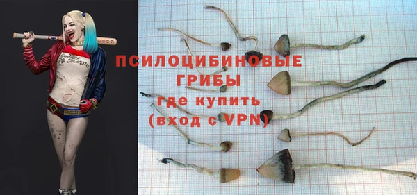 индика Беломорск