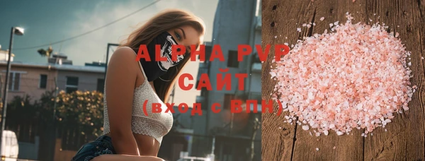 индика Беломорск
