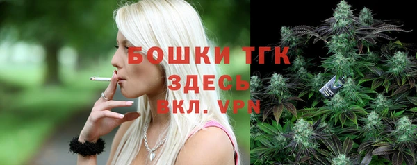 индика Беломорск