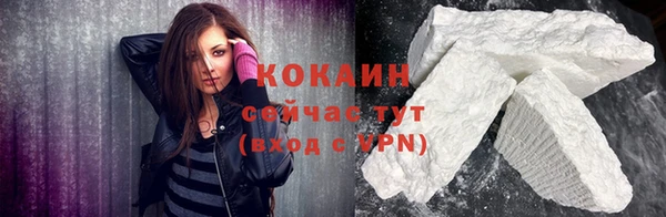 индика Беломорск